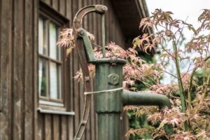 Homespot Garten